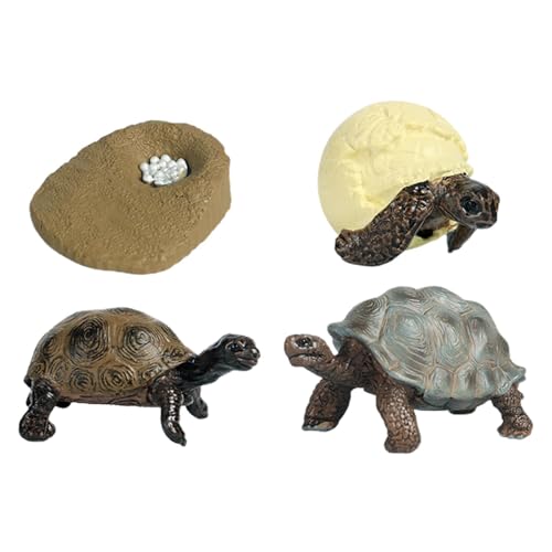 perfk Lebenszyklus Schildkröte Spielzeug Tierfiguren Wachstum Set Montessori Spielzeug Lernaktivitäten, Schildkröte von perfk