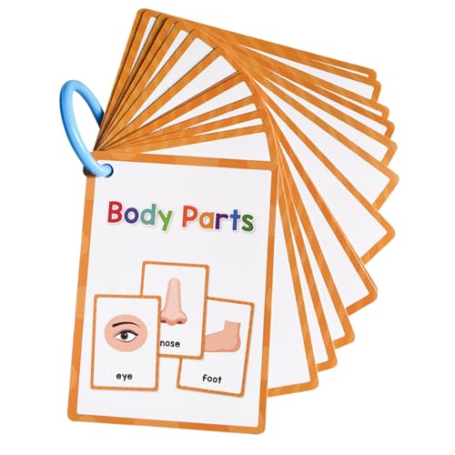 predolo Karten für Körperteile, Lernspielzeug, Lehrerressource, 15 Stück, tragbare Karten für Kinder predolo Karten für Körperteile, Lernspielzeug, Lehrerressource, 15 Stück, tragbare Karten für Kinder von predolo