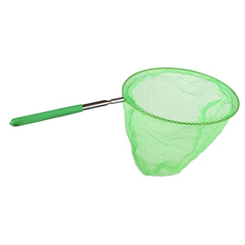 predolo Teleskop Schmetterlingsfang für Kinder – Ausziehbar von 36 cm bis 85 cm, Grün, 20cm von predolo