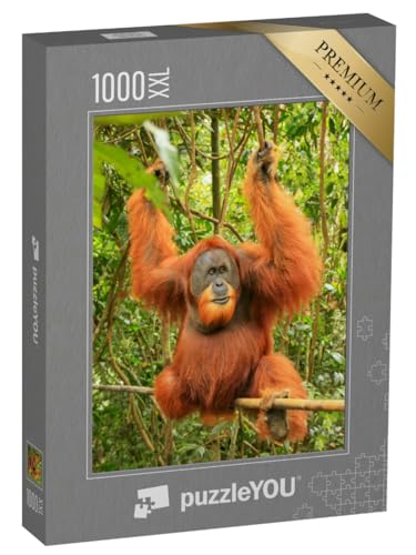 Puzzle 1000 Teile XXL „Männlicher Sumatra-Orang-Utan, Gunung Leuser National Park“ – aus der Puzzle-Kollektion Orang-Utan, Tiere in Dschungel & Regenwald Puzzle 1000 Teile XXL „Männlicher Sumatra-Orang-Utan, Gunung Leuser National Park“ – aus der Puzzle-Kollektion Orang-Utan, Tiere in Dschungel & Regenwald von puzzleYOU