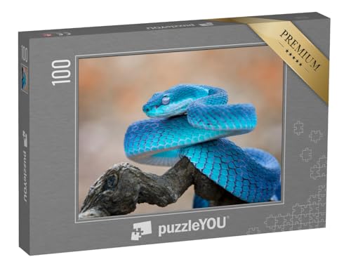 puzzleYOU: Puzzle 100 Teile „Blaue Viper: Schlange, Nahaufnahme Gesicht“ – aus der Puzzle-Kollektion Schlangen, Tiere in Dschungel & Regenwald von puzzleYOU