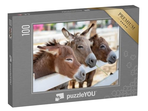 puzzleYOU: Puzzle 100 Teile „DREI neugierige Esel am Zaun“ von puzzleYOU