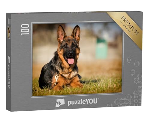 puzzleYOU: Puzzle 100 Teile „Deutscher-Schäferhund-Welpe, Alter fünf Monate, liegt im Gras“ – aus der Puzzle-Kollektion Hunde, Schäferhunde von puzzleYOU