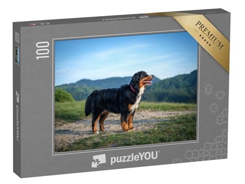 puzzleYOU: Puzzle 100 Teile „EIN Berner Sennenhund sonnt Sich am Abend“ – aus der Puzzle-Kollektion Berner Sennenhund von puzzleYOU