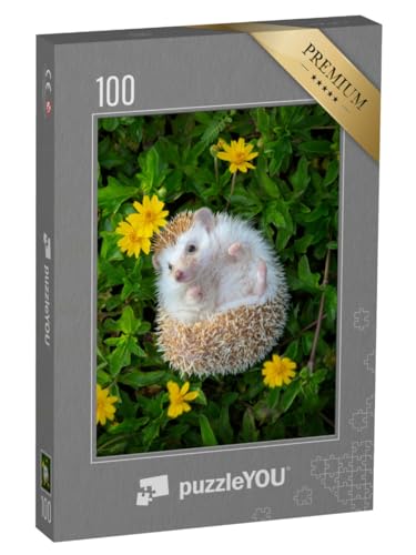 puzzleYOU: Puzzle 100 Teile „EIN Kleiner Igel im Blumengarten“ – aus der Puzzle-Kollektion Igel, Tiere in Wald & Gebirge puzzleYOU: Puzzle 100 Teile „EIN Kleiner Igel im Blumengarten“ – aus der Puzzle-Kollektion Igel, Tiere in Wald & Gebirge von puzzleYOU
