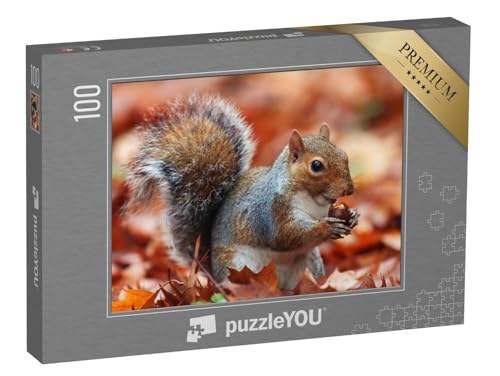 puzzleYOU: Puzzle 100 Teile „Eichhörnchen, Herbst mit Eichel“ – aus der Puzzle-Kollektion Eichhörnchen, Tiere in Wald & Gebirge von puzzleYOU