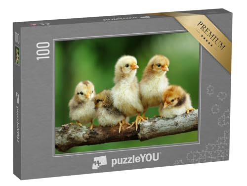 puzzleYOU: Puzzle 100 Teile „Eine Gruppe von kleinen Küken auf einem AST“ – aus der Puzzle-Kollektion Tiere von puzzleYOU