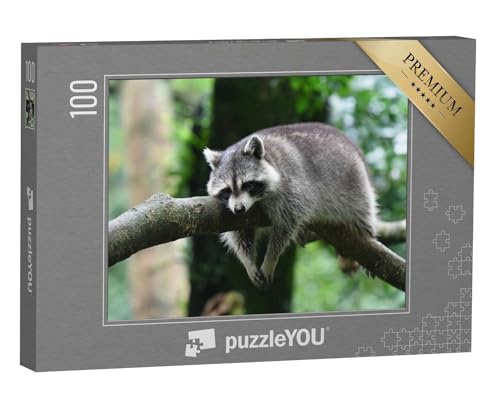 puzzleYOU: Puzzle 100 Teile „Entspannter Waschbär bei Seiner Pause auf einem AST“ – aus der Puzzle-Kollektion Waschbären, Tiere in Wald & Gebirge, Exotische Tiere & Trend-Tiere von puzzleYOU