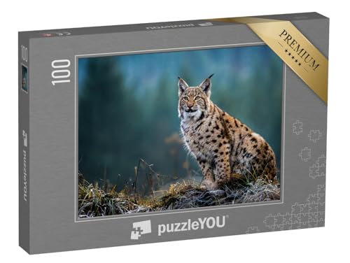 puzzleYOU: Puzzle 100 Teile „Eurasischer Luchs“ – aus der Puzzle-Kollektion Luchse, Tiere in Wald & Gebirge von puzzleYOU