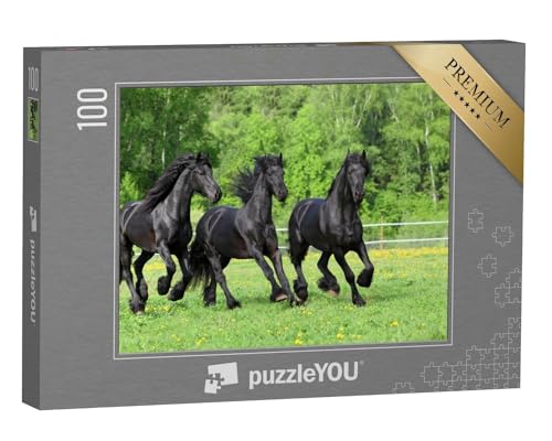 puzzleYOU: Puzzle 100 Teile „Friesische Pferde galoppieren auf der Weide“ – aus der Puzzle-Kollektion Pferde, Friesenpferde von puzzleYOU