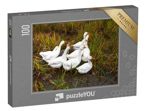 puzzleYOU: Puzzle 100 Teile „Gänse auf der Wiese“ – aus der Puzzle-Kollektion Gänse von puzzleYOU