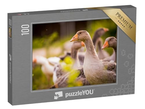puzzleYOU: Puzzle 100 Teile „Gänse“ puzzleYOU: Puzzle 100 Teile „Gänse“ von puzzleYOU