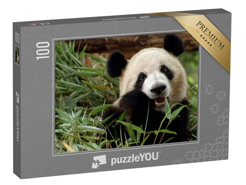 puzzleYOU: Puzzle 100 Teile „Großer Panda genießt Seine Bambus-Mahlzeit“ – aus der Puzzle-Kollektion Pandas, Exotische Tiere & Trend-Tiere von puzzleYOU