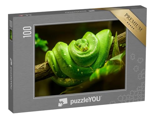 puzzleYOU: Puzzle 100 Teile „Grüne Schlange auf dem AST“ – aus der Puzzle-Kollektion Schlangen, Tiere in Dschungel & Regenwald von puzzleYOU