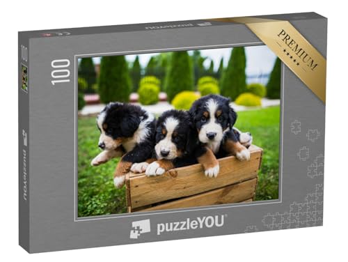 puzzleYOU: Puzzle 100 Teile „Junge Berner Sennenhund“ – aus der Puzzle-Kollektion Hunde, Berner Sennenhund von puzzleYOU