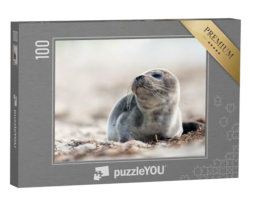 puzzleYOU: Puzzle 100 Teile „Junge Robbe am Strand der Ostsee“ – aus der Puzzle-Kollektion Robben von puzzleYOU