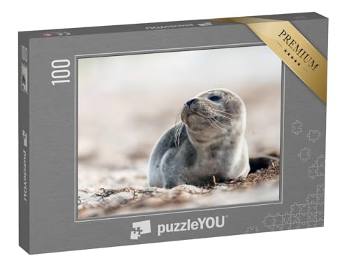 puzzleYOU: Puzzle 100 Teile „Junge Robbe am Strand der Ostsee“ – aus der Puzzle-Kollektion Robben von puzzleYOU