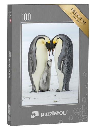 puzzleYOU: Puzzle 100 Teile „Kaiserpinguin-Küken zwischen seinen Eltern“ – aus der Puzzle-Kollektion Pinguine von puzzleYOU