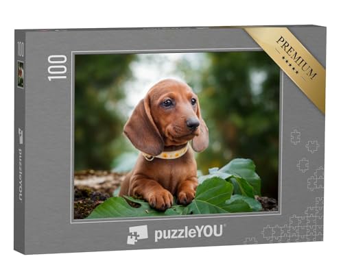 puzzleYOU: Puzzle 100 Teile „Niedliche Dackelwelpen“ – aus der Puzzle-Kollektion Dackel von puzzleYOU