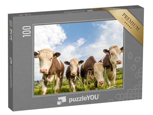 puzzleYOU: Puzzle 100 Teile „Vier Junge Kühe auf Einer Weide in England“ – aus der Puzzle-Kollektion Kühe & Kälber von puzzleYOU