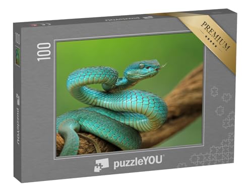 puzzleYOU: Puzzle 100 Teile „Viper auf einem Zweig, angriffsbereite Blaue Inselschlange, Nahaufnahme“ – aus der Puzzle-Kollektion Schlangen, Tiere in Dschungel & Regenwald von puzzleYOU