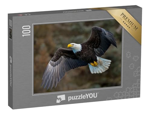 puzzleYOU: Puzzle 100 Teile „Weißkopfseeadler fliegt an einem Berghang, Alaska“ – aus der Puzzle-Kollektion Adler, Tiere in Wald & Gebirge von puzzleYOU