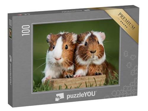 puzzleYOU: Puzzle 100 Teile „Zwei Meerschweinchen“ – aus der Puzzle-Kollektion Meerschweinchen, Bauernhof-Tiere von puzzleYOU