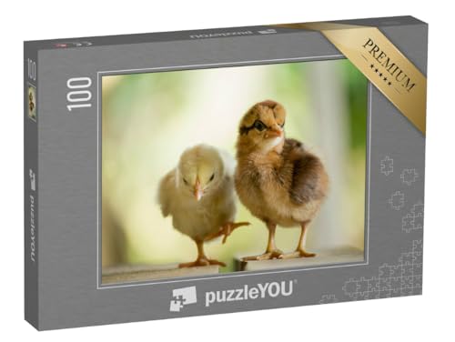 puzzleYOU: Puzzle 100 Teile „Zwei süße kleine Küken“ – aus der Puzzle-Kollektion Hühner & Küken puzzleYOU: Puzzle 100 Teile „Zwei süße kleine Küken“ – aus der Puzzle-Kollektion Hühner & Küken von puzzleYOU