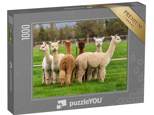 puzzleYOU: Puzzle 1000 Teile „Alpakas auf Einer Ranch auf einem Bauernhof, Oregon“ – aus der Puzzle-Kollektion Alpakas, Exotische Tiere & Trend-Tiere von puzzleYOU