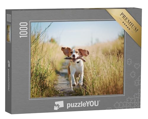 puzzleYOU: Puzzle 1000 Teile „Beagle mit einem Stöckchen“ – aus der Puzzle-Kollektion Beagle von puzzleYOU