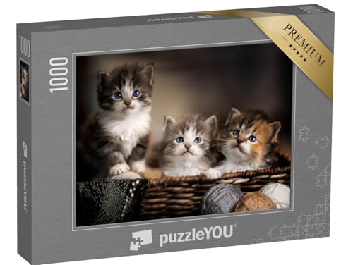 puzzleYOU: Puzzle 1000 Teile „DREI niedliche Kätzchen, Großaufnahme“ – aus der Puzzle-Kollektion Katzen-Puzzles von puzzleYOU