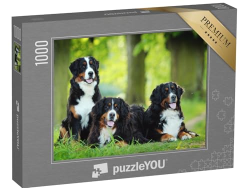 puzzleYOU: Puzzle 1000 Teile „EIN Berner Sennenhund“ – aus der Puzzle-Kollektion Hunde, Berner Sennenhund von puzzleYOU