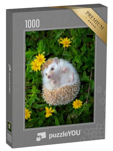 puzzleYOU: Puzzle 1000 Teile „EIN Kleiner Igel im Blumengarten“ – aus der Puzzle-Kollektion Igel, Tiere in Wald & Gebirge puzzleYOU: Puzzle 1000 Teile „EIN Kleiner Igel im Blumengarten“ – aus der Puzzle-Kollektion Igel, Tiere in Wald & Gebirge von puzzleYOU