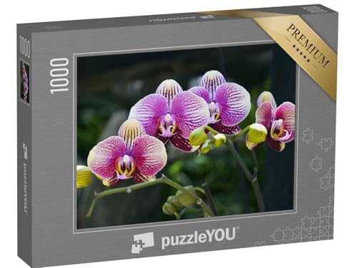 puzzleYOU: Puzzle 1000 Teile „Farbpracht: Orchideenblüte im tropischen Garten“ – aus der Puzzle-Kollektion Orchideen von puzzleYOU