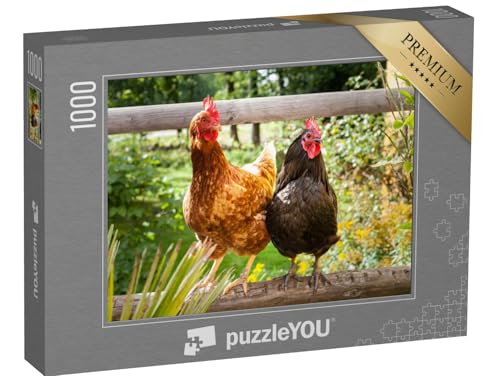 puzzleYOU: Puzzle 1000 Teile „Glückliche Hühner auf einem Holzzaun im Freien“ – aus der Puzzle-Kollektion Hühner & Küken, Bauernhof-Tiere von puzzleYOU