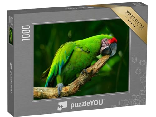 puzzleYOU: Puzzle 1000 Teile „Großer Grüner Ara, seltener Vogel aus Costa Rica“ – aus der Puzzle-Kollektion Vögel, Papagei, Tiere in Dschungel & Regenwald puzzleYOU: Puzzle 1000 Teile „Großer Grüner Ara, seltener Vogel aus Costa Rica“ – aus der Puzzle-Kollektion Vögel, Papagei, Tiere in Dschungel & Regenwald von puzzleYOU