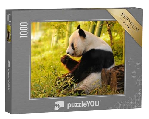 puzzleYOU: Puzzle 1000 Teile „Großer Panda beim Verzehr von Bambus“ – aus der Puzzle-Kollektion Tiere, Pandas, Exotische Tiere & Trend-Tiere von puzzleYOU