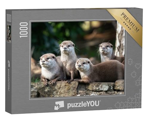 puzzleYOU: Puzzle 1000 Teile „Gruppe von Vier aufmerksamen Orientalischen Kleinfischottern“ – aus der Puzzle-Kollektion Otter, Fische & Wassertiere von puzzleYOU