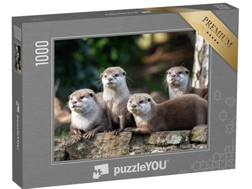 puzzleYOU: Puzzle 1000 Teile „Gruppe von Vier aufmerksamen Orientalischen Kleinfischottern“ – aus der Puzzle-Kollektion Otter, Fische & Wassertiere von puzzleYOU