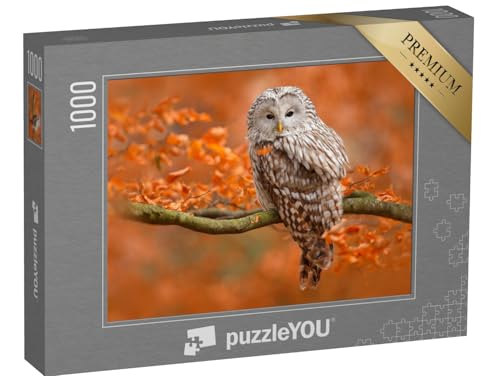 puzzleYOU: Puzzle 1000 Teile „Herbstaufnahme mit Eule, Uralkauz, sitzt auf AST im Eichenwald, Norwegen“ – aus der Puzzle-Kollektion Vögel, Tiere, Eulen, Exotische Tiere & Trend-Tiere von puzzleYOU