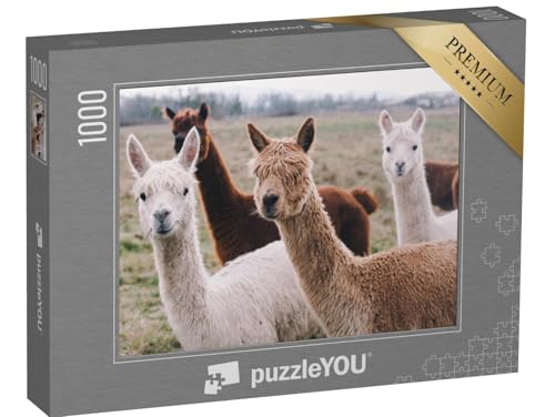 puzzleYOU: Puzzle 1000 Teile „Herde von Alpakas“ – aus der Puzzle-Kollektion Tiere, Alpakas, Exotische Tiere & Trend-Tiere von puzzleYOU