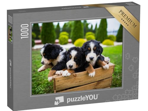 puzzleYOU: Puzzle 1000 Teile „Junge Berner Sennenhund“ – aus der Puzzle-Kollektion Hunde, Berner Sennenhund von puzzleYOU