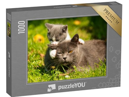 puzzleYOU: Puzzle 1000 Teile „Katzenmutter mit ihrem kleinen Kätzchen im Gras“ – aus der Puzzle-Kollektion Katzen-Puzzles puzzleYOU: Puzzle 1000 Teile „Katzenmutter mit ihrem kleinen Kätzchen im Gras“ – aus der Puzzle-Kollektion Katzen-Puzzles von puzzleYOU
