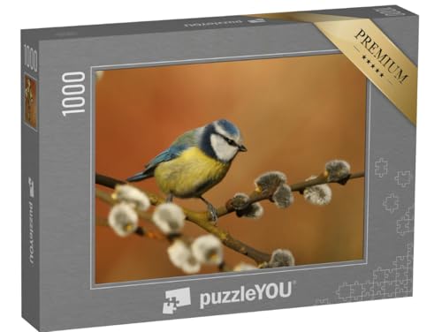 puzzleYOU: Puzzle 1000 Teile „Kleine Blaumeise auf einem Weidenzweig“ – aus der Puzzle-Kollektion Vögel, Singvögel puzzleYOU: Puzzle 1000 Teile „Kleine Blaumeise auf einem Weidenzweig“ – aus der Puzzle-Kollektion Vögel, Singvögel von puzzleYOU