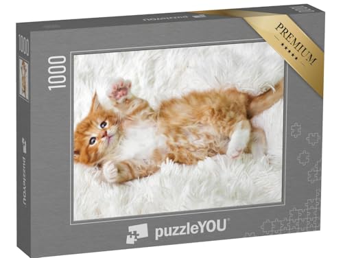 puzzleYOU: Puzzle 1000 Teile „Kleines süßes Katzenbaby“ – aus der Puzzle-Kollektion Katzen-Puzzles von puzzleYOU