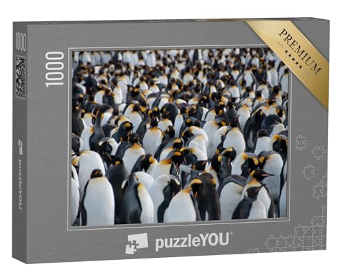 puzzleYOU: Puzzle 1000 Teile „Königspinguine im Küstengebiet Gold Harbour, Insel Südgeorgien“ – aus der Puzzle-Kollektion Pinguine, Exotische Tiere & Trend-Tiere von puzzleYOU
