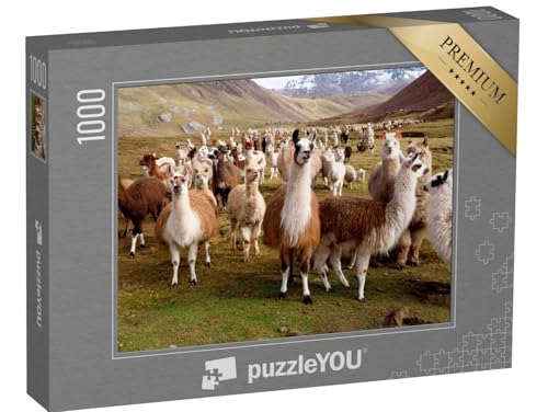 puzzleYOU: Puzzle 1000 Teile „Llamas und Alpakas von Peru“ – aus der Puzzle-Kollektion Lamas, Südamerika, Exotische Tiere & Trend-Tiere von puzzleYOU