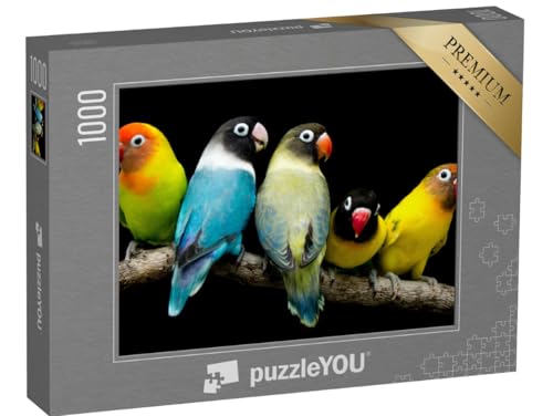 puzzleYOU: Puzzle 1000 Teile „Lovebird: Papagei mit prächtigen Farben“ – aus der Puzzle-Kollektion Vögel, Papagei, Tiere in Dschungel & Regenwald puzzleYOU: Puzzle 1000 Teile „Lovebird: Papagei mit prächtigen Farben“ – aus der Puzzle-Kollektion Vögel, Papagei, Tiere in Dschungel & Regenwald von puzzleYOU