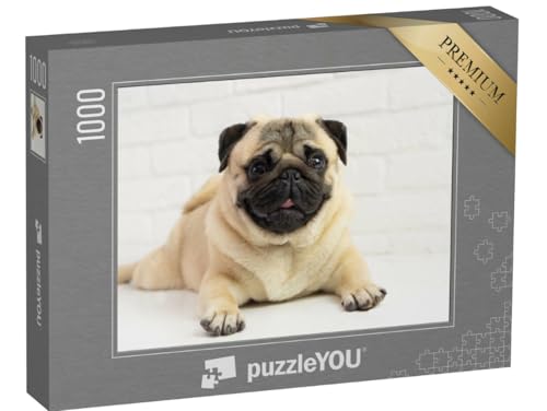 puzzleYOU: Puzzle 1000 Teile „Lustiger Kleiner Mops“ – aus der Puzzle-Kollektion Mops puzzleYOU: Puzzle 1000 Teile „Lustiger Kleiner Mops“ – aus der Puzzle-Kollektion Mops von puzzleYOU