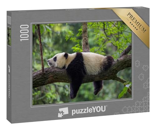 puzzleYOU: Puzzle 1000 Teile „Panda-Bär“ von puzzleYOU